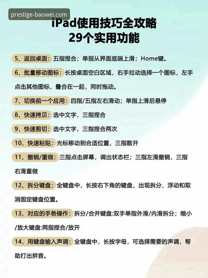 宝威电脑版下载完整指南：从安装到尊享体验的实用教程